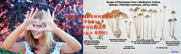 дистиллят марихуана Алексин