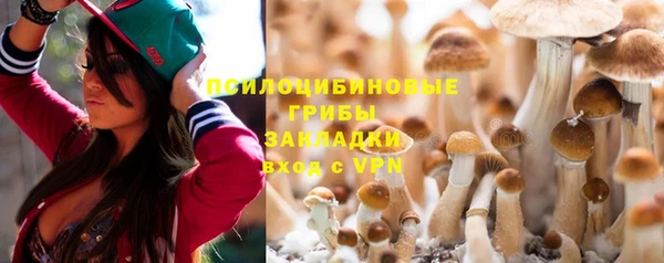 гидра Алексеевка