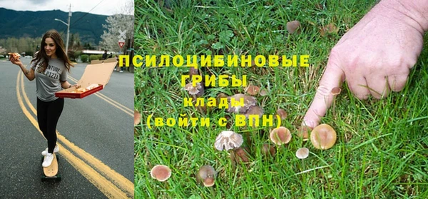 каннабис Алзамай