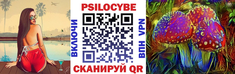 Псилоцибиновые грибы Psilocybe Хотьково