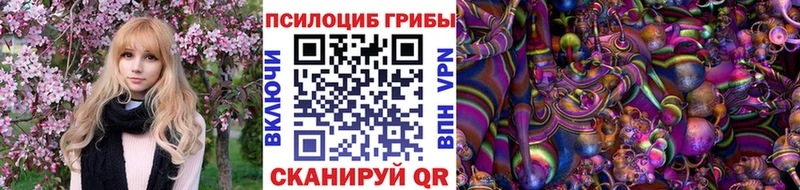 где найти наркотики  Хотьково  Псилоцибиновые грибы Psilocybe 